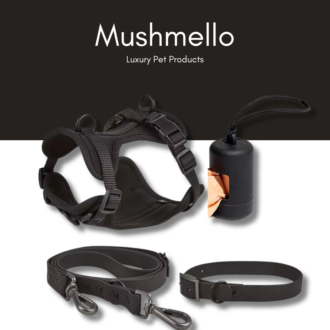 Black Luxury Waterproof PVC-Coated Harness, Leash, Collar Set – Easy Clean
