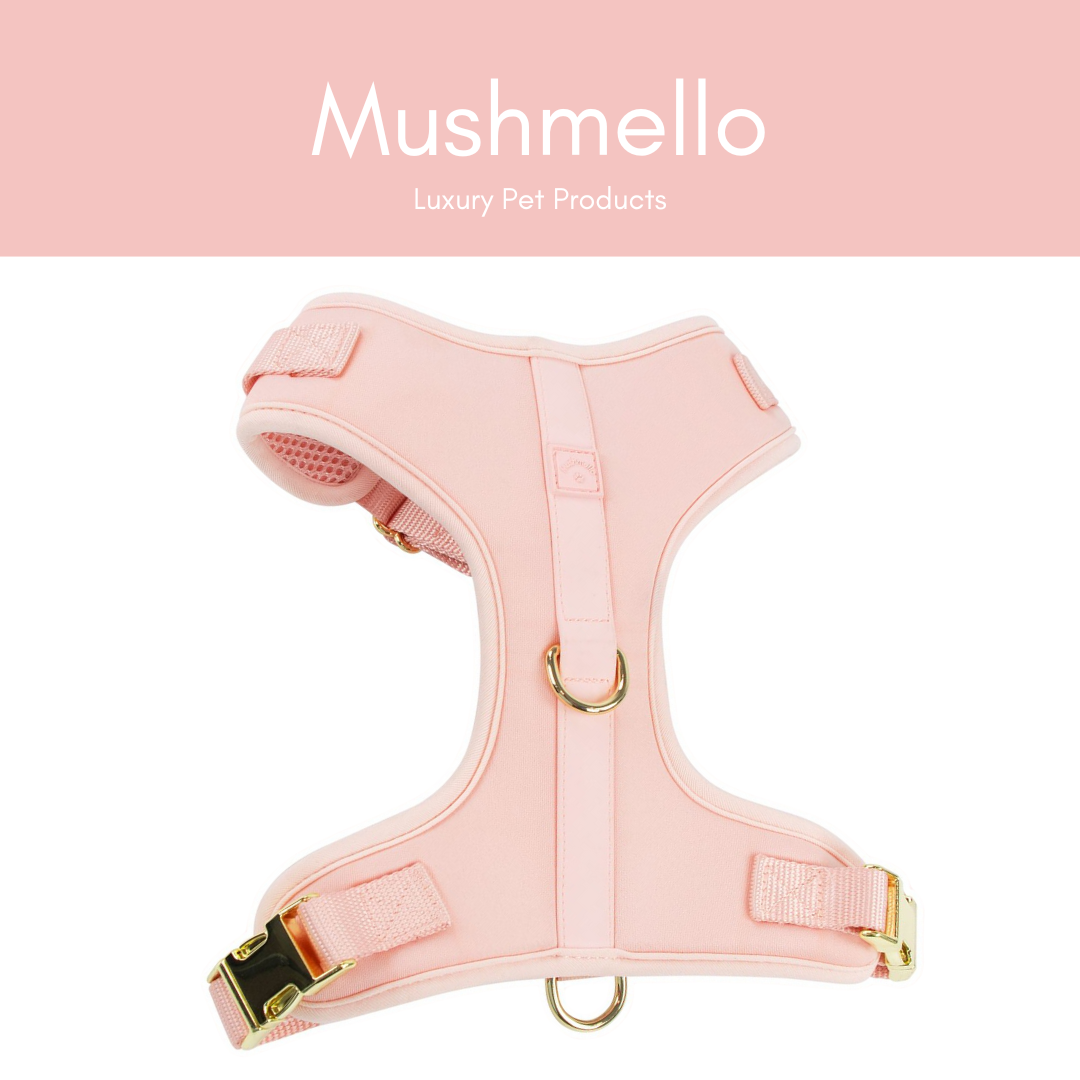 Luxury Soft, Waterproof, Breathable Harness, Collar and Lead Set - Pink