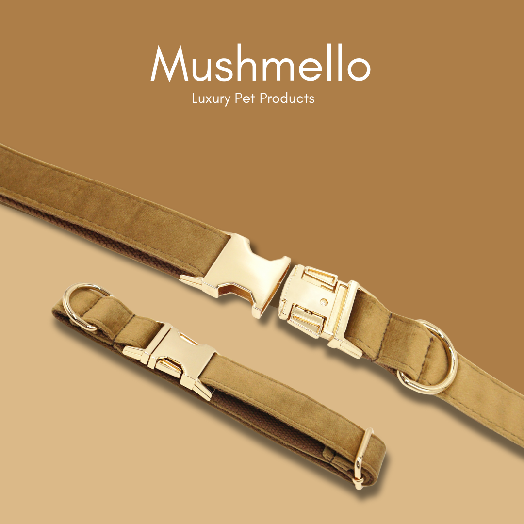 Soft Luxury Velvet Dog Collar and Leash set - Coffee Brown