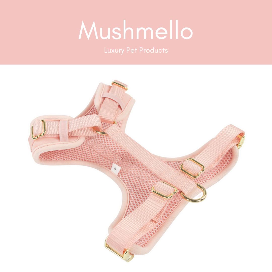 Luxury Soft, Waterproof, Breathable Harness, Collar and Lead Set - Pink