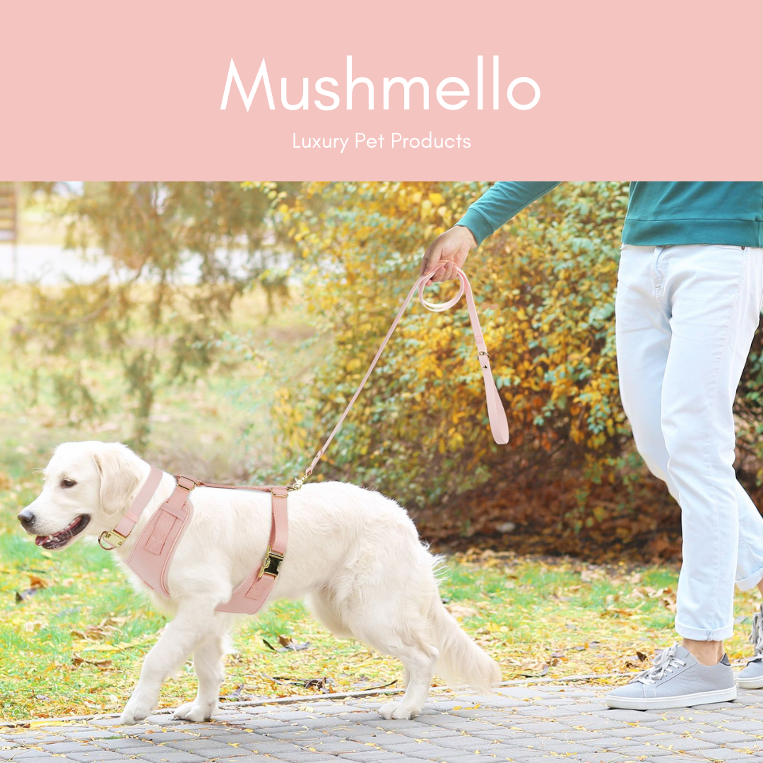 Luxury Soft, Waterproof, Breathable Harness, Collar and Lead Set - Pink