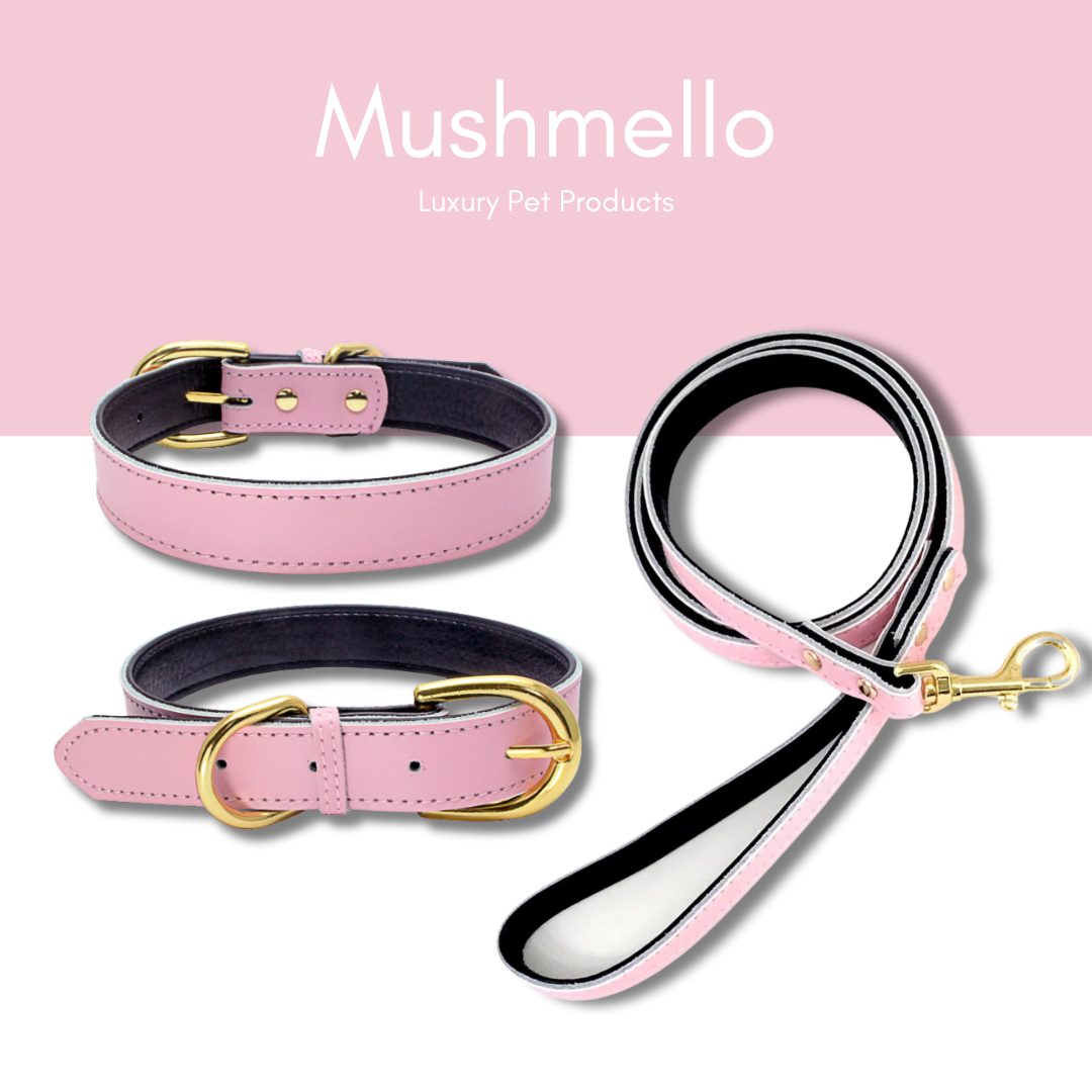 Luxury Leather Collar with FREE Matching Leash - Pink