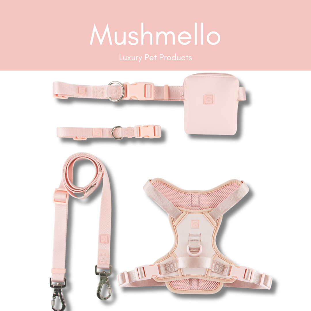 Luxury Lycra Harness, Leash, Collar and Treat bag Set - Pink
