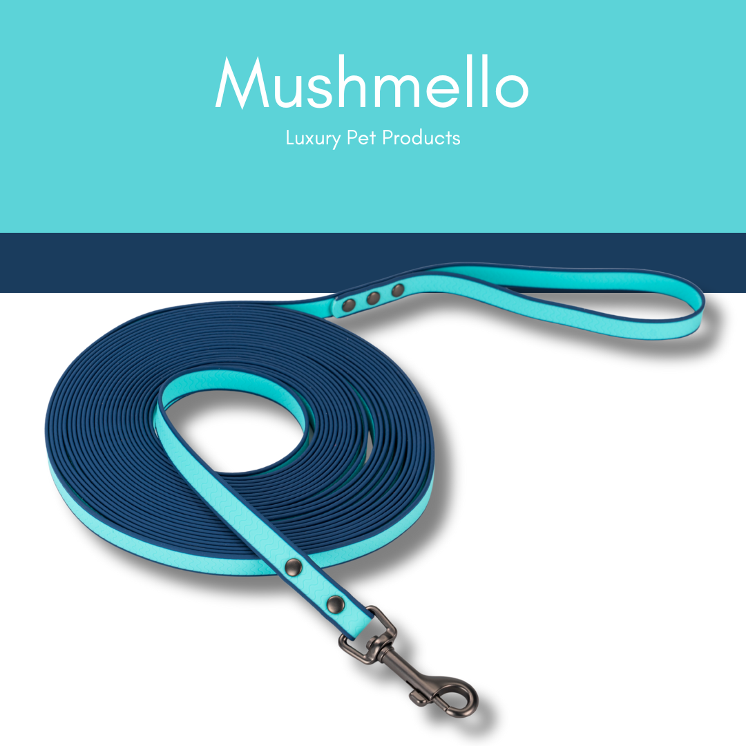 Waterproof PVC coated Long Lead 10m - Blue and Navy
