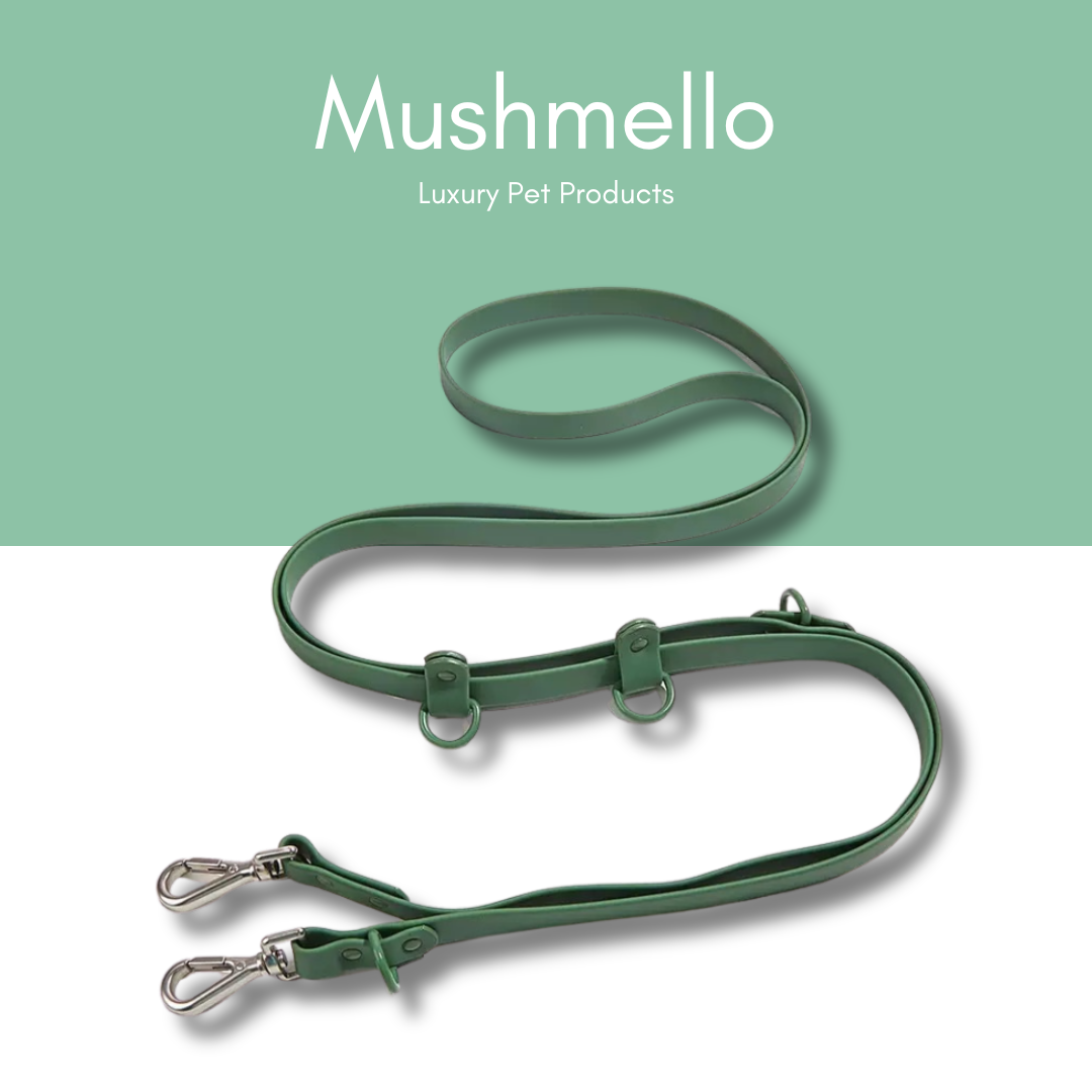 Hands-Free Waterproof Dog Leash 2.5m - Green