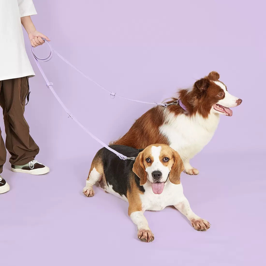 Hands-Free Waterproof Dog Leash 2.5m - Green