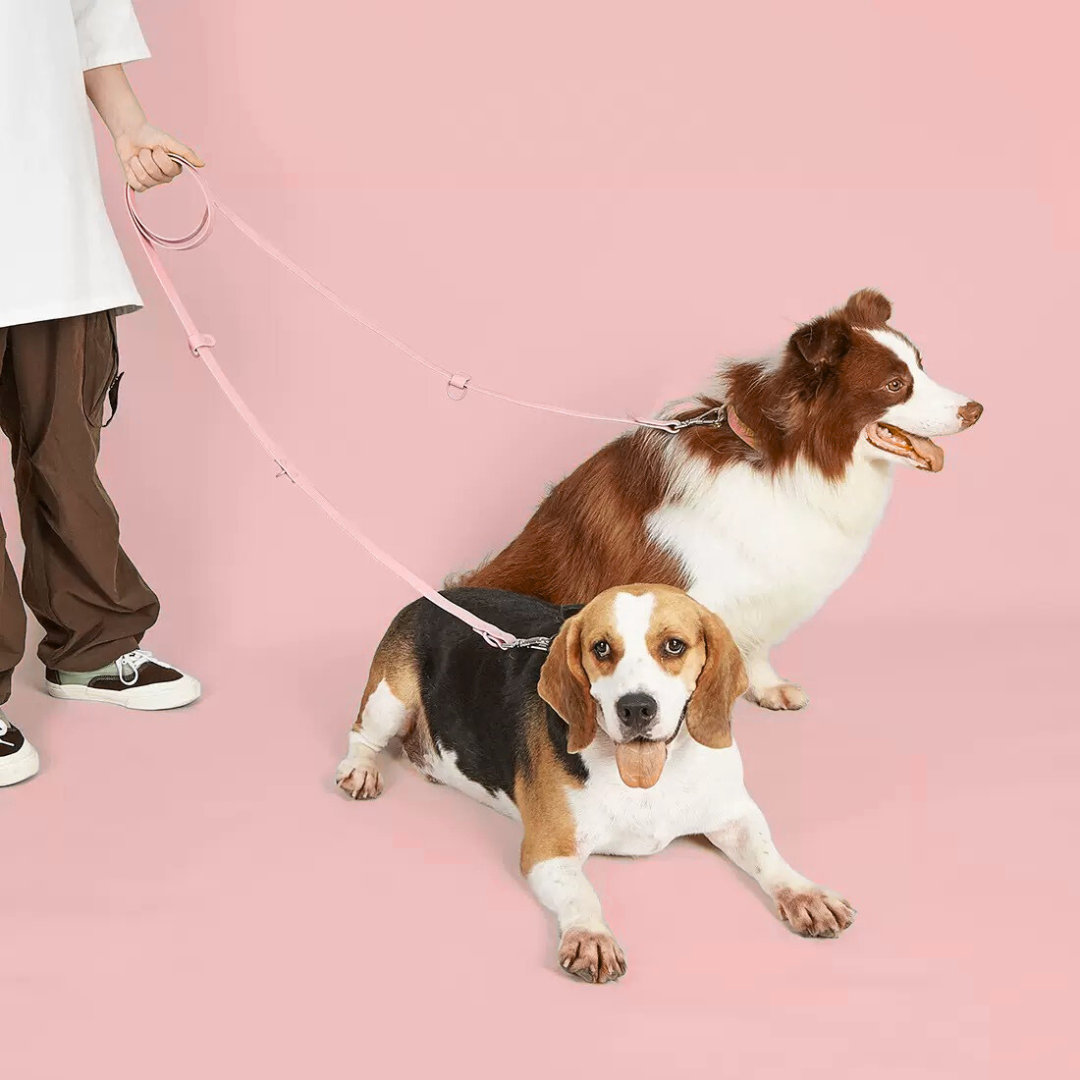 Hands-Free Waterproof Dog Leash 2.5m - Pink