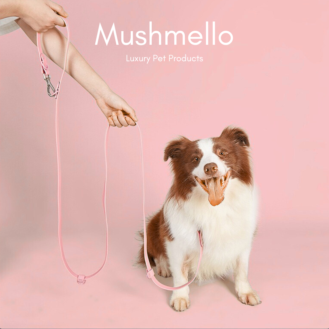 Hands-Free Waterproof Dog Leash 2.5m - Pink