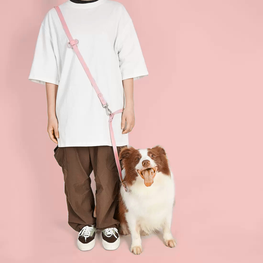 Hands-Free Waterproof Dog Leash 2.5m - Pink
