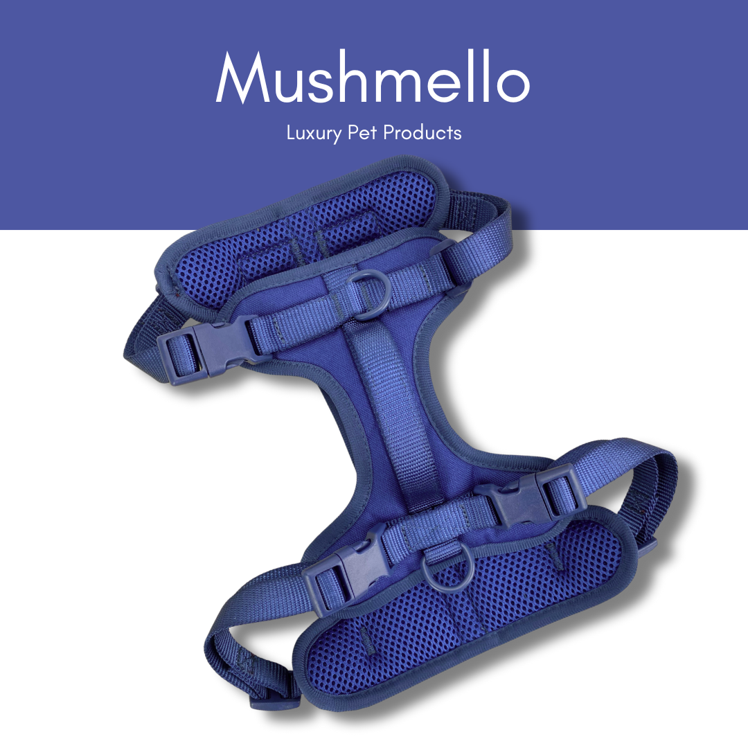 Mushmello Secure Waterproof Harness with Collar and Leash Set - Navy Blue