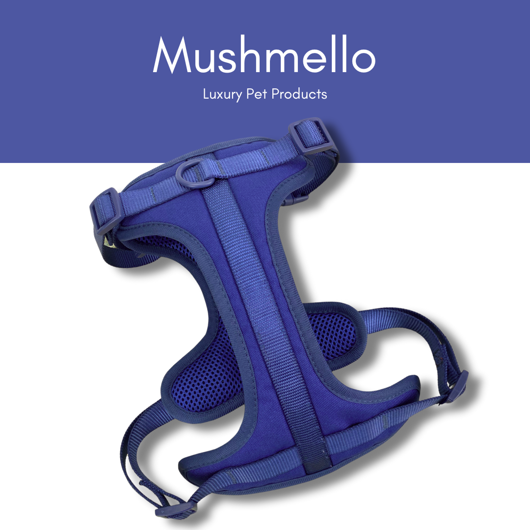 Mushmello Secure Waterproof Harness with Collar and Leash Set - Navy Blue