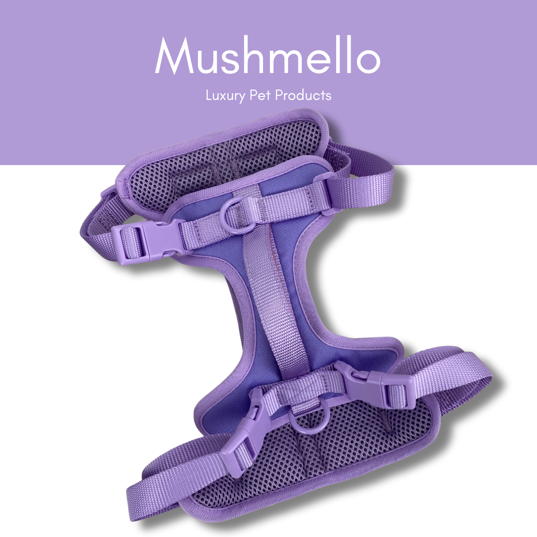 Mushmello Secure Waterproof Harness with Collar and Leash Set - Purple
