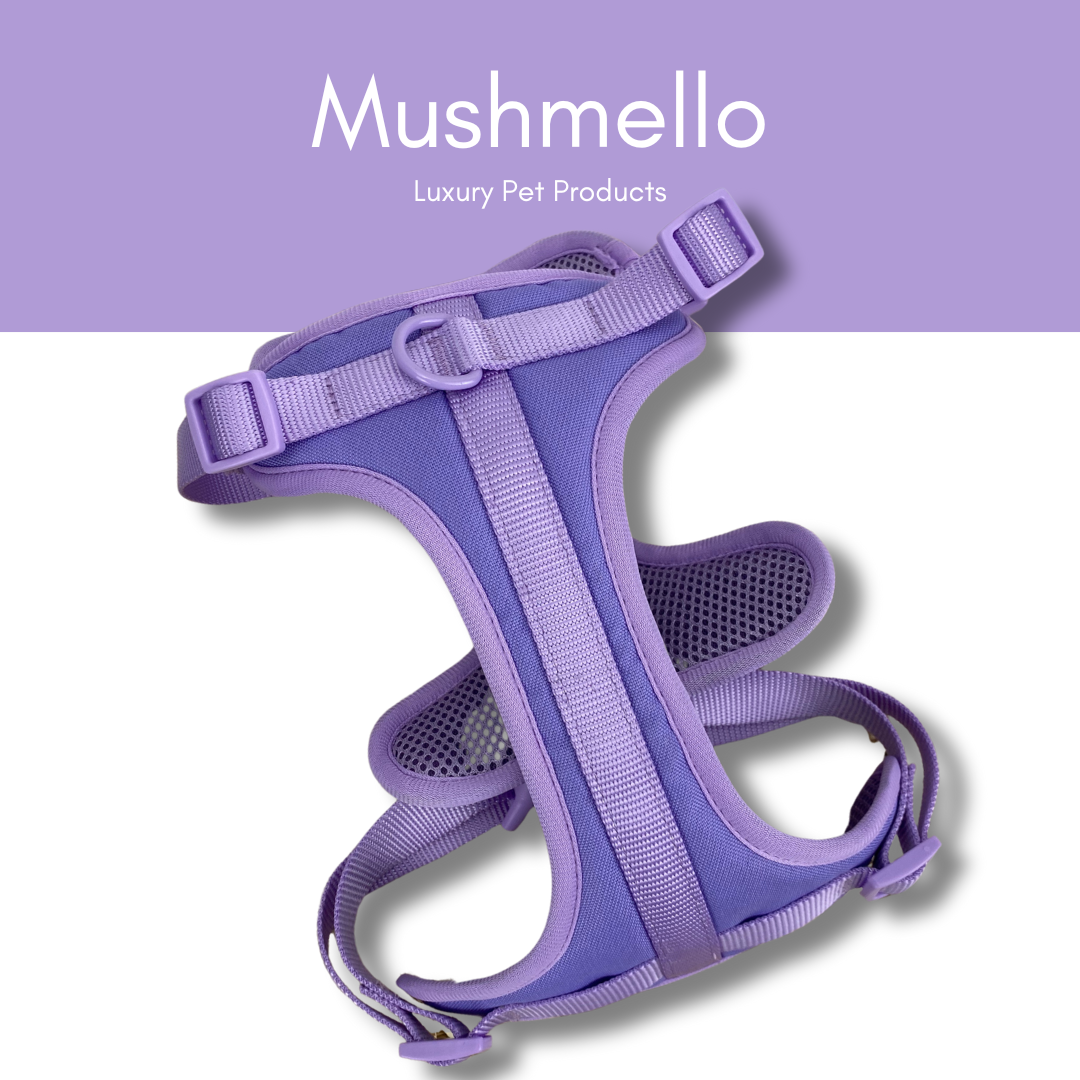 Mushmello Secure Waterproof Harness with Collar and Leash Set - Purple