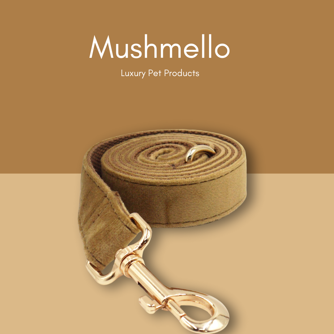 Soft Luxury Velvet Dog Collar and Leash set - Coffee Brown