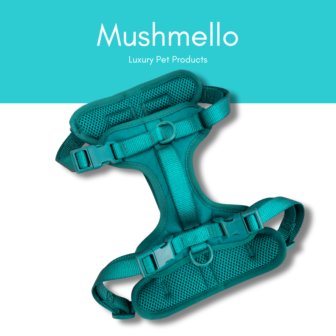 Mushmello Secure Waterproof Harness, Collar and Leash Set - Teal