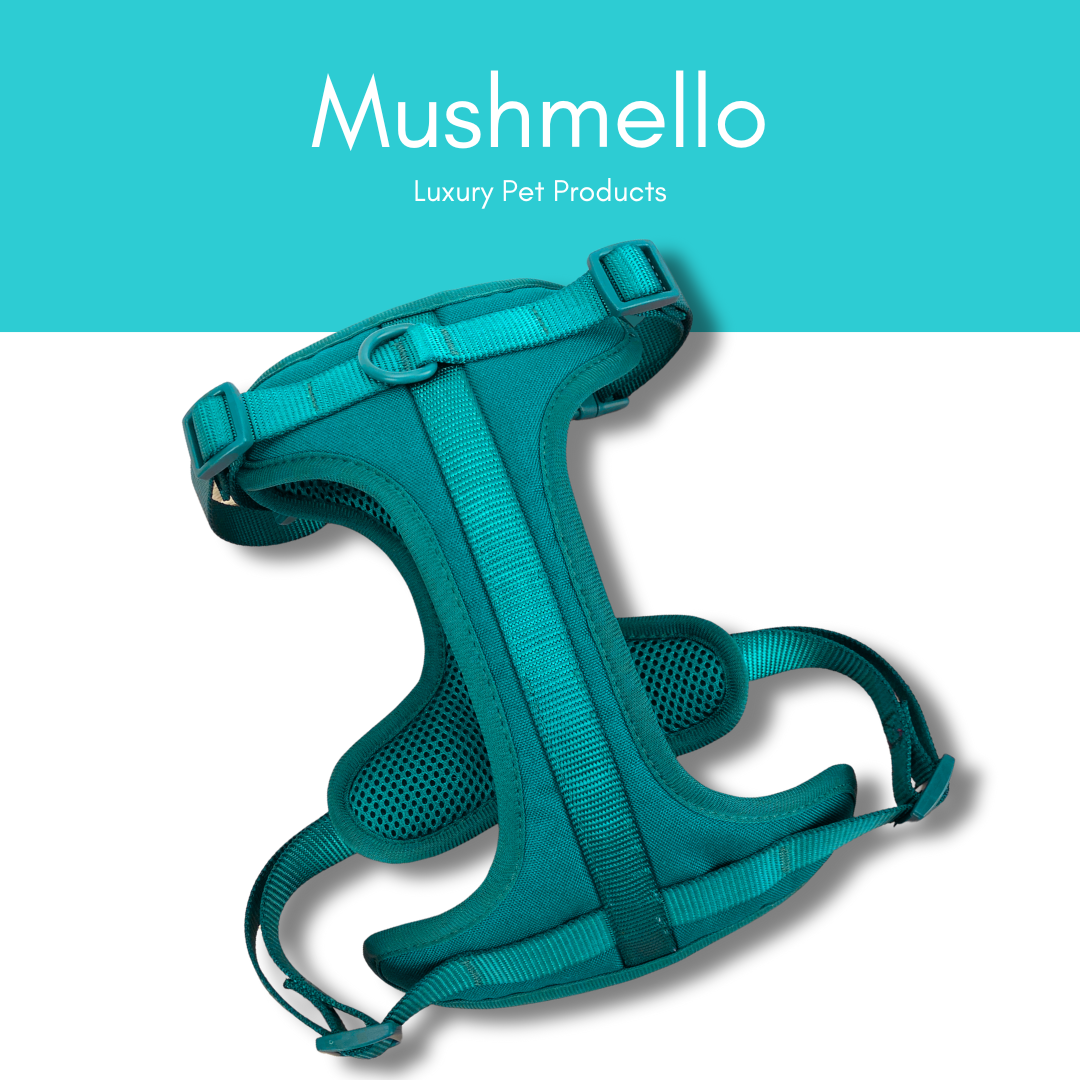Mushmello Tough Waterproof Harness, Collar and Leash - Teal
