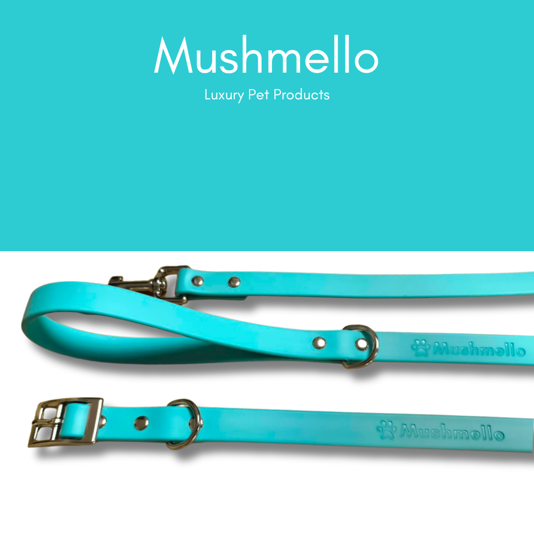 Mushmello Tough Waterproof Harness, Collar and Leash - Teal