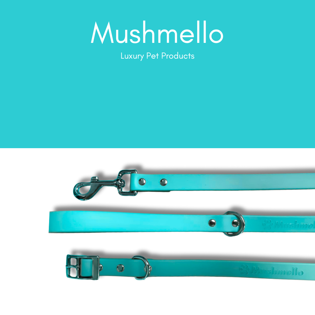 Mushmello Tough Waterproof Harness, Collar and Leash - Teal
