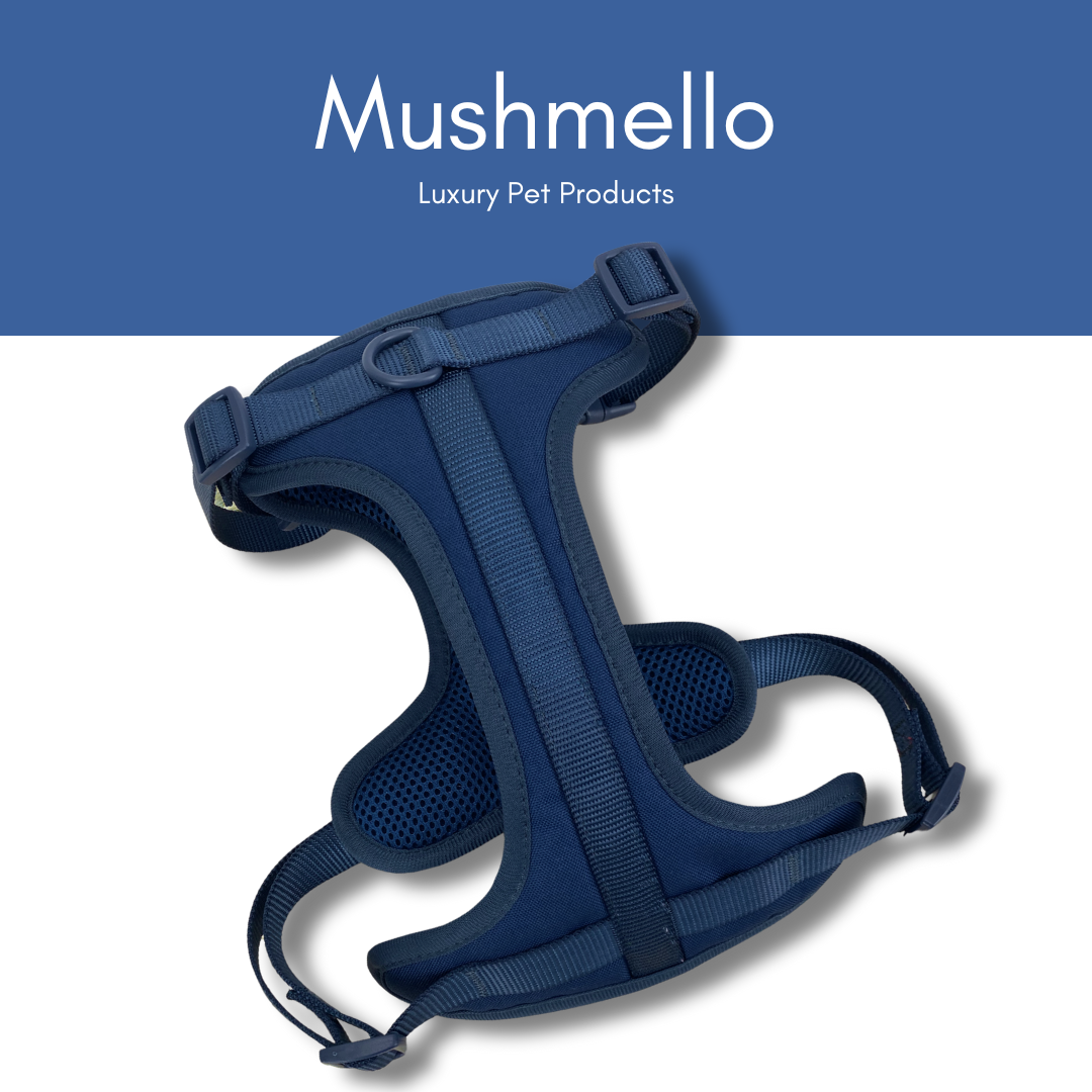 Mushmello Tough Waterproof Harness, Collar and Leash Set - Navy Blue