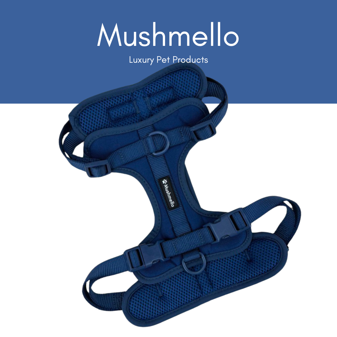 Mushmello Tough Waterproof Harness, Collar and Leash Set - Navy Blue