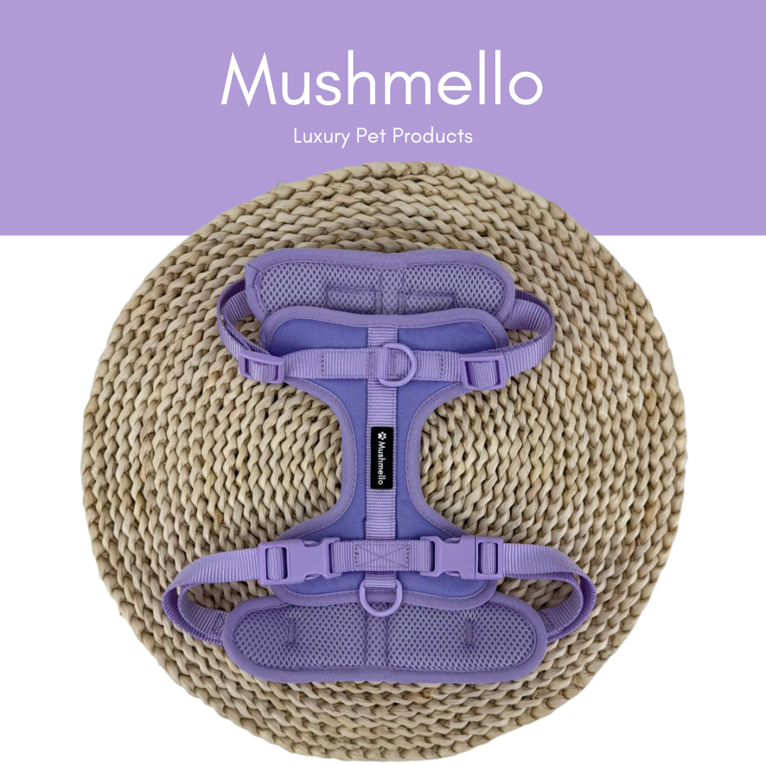 Mushmello Tough Waterproof Harness with Collar and Leash Set - Purple