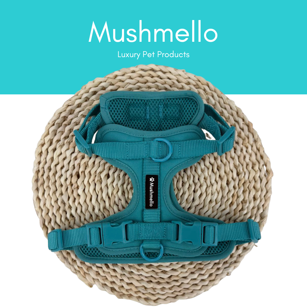 Mushmello Tough Waterproof Harness, Collar and Leash - Teal