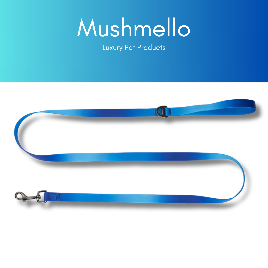 Gradient Waterproof PVC-Coated Dog Collar & Leash Set - Blue Gradient