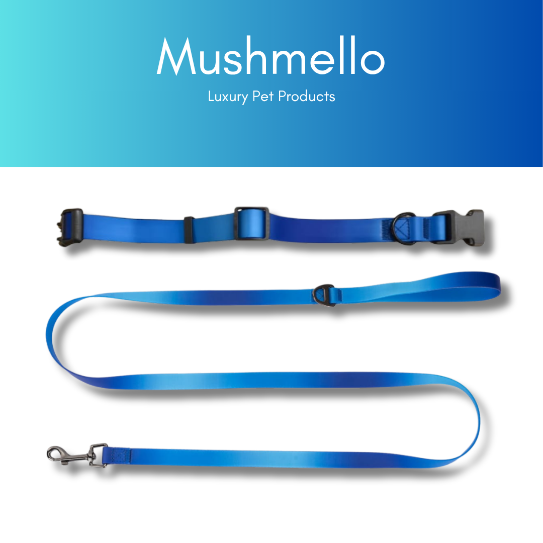 Gradient Waterproof PVC-Coated Dog Collar & Leash Set - Blue Gradient
