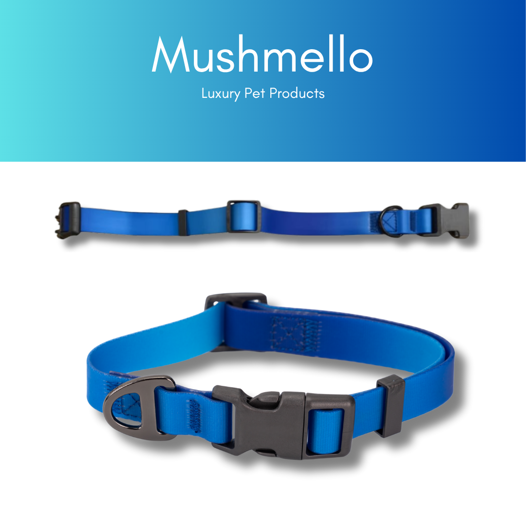 Gradient Waterproof PVC-Coated Dog Collar & Leash Set - Blue Gradient