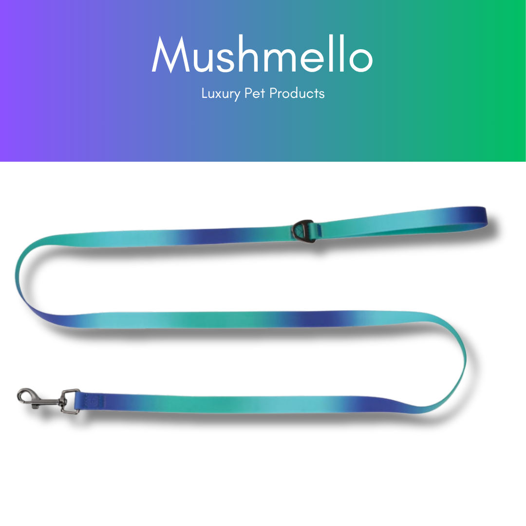 Gradient Waterproof PVC-Coated Dog Collar & Leash Set - Blue and Green Gradient