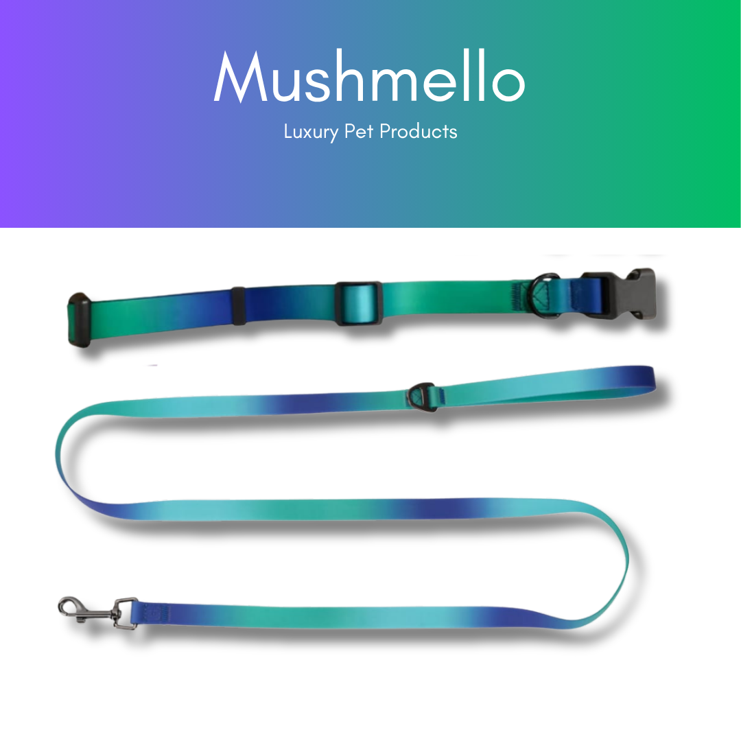 Gradient Waterproof PVC-Coated Dog Collar & Leash Set - Blue and Green Gradient