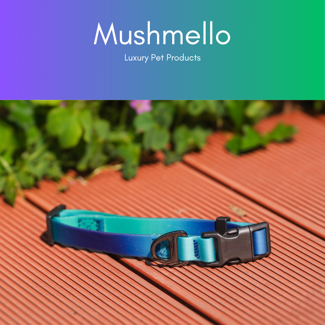 Gradient Waterproof PVC-Coated Dog Collar & Leash Set - Blue and Green Gradient