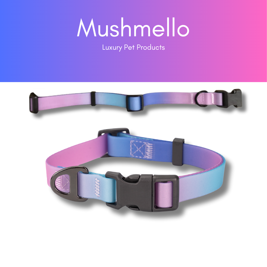 Gradient Waterproof PVC-Coated Dog Collar & Leash Set - Pink and Purple Gradient