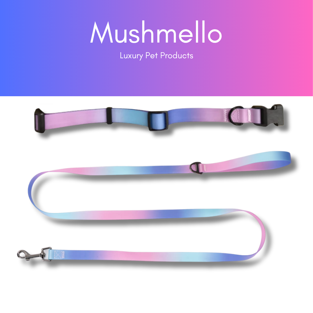 Gradient Waterproof PVC-Coated Dog Collar & Leash Set - Pink and Purple Gradient
