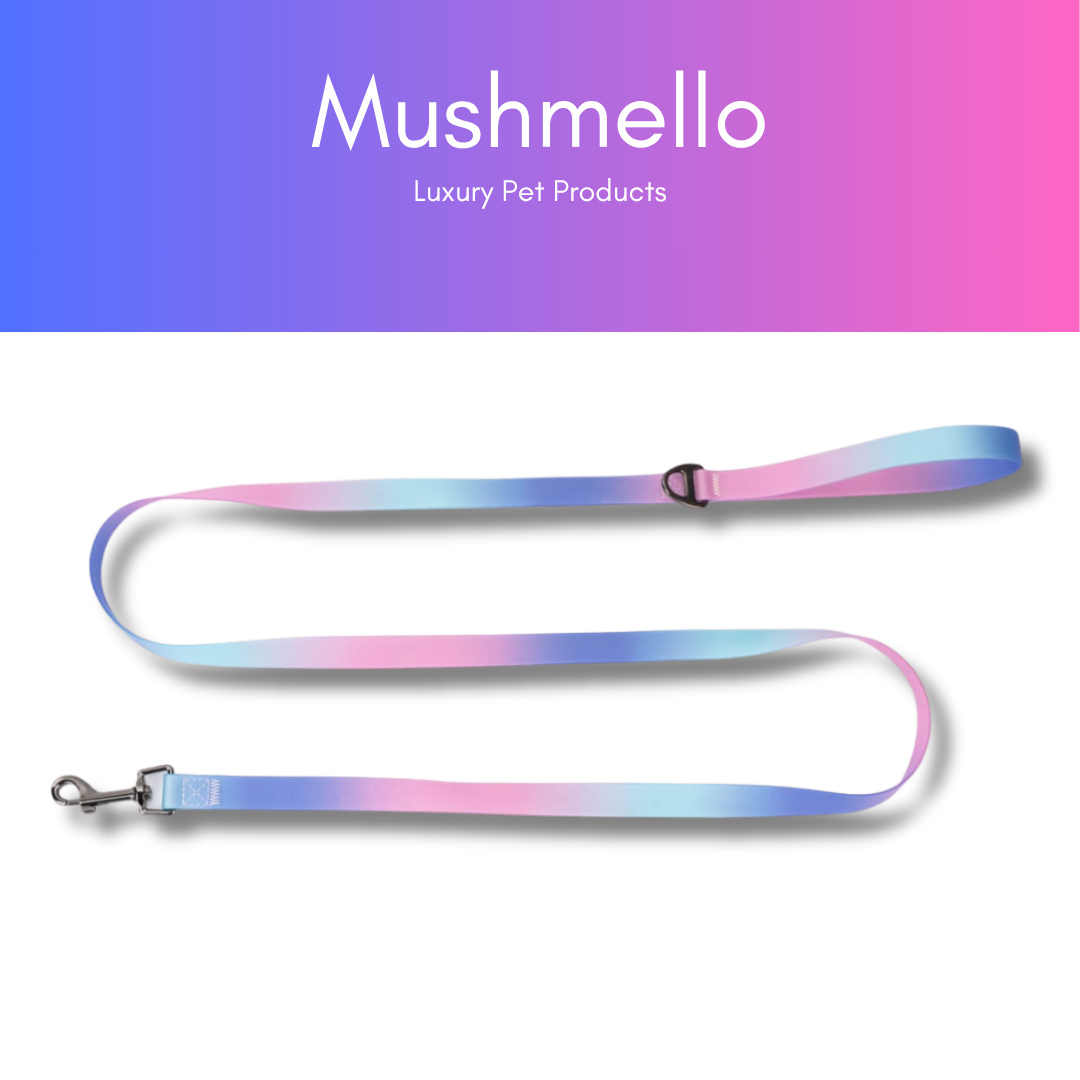 Gradient Waterproof PVC-Coated Dog Collar & Leash Set - Pink and Purple Gradient