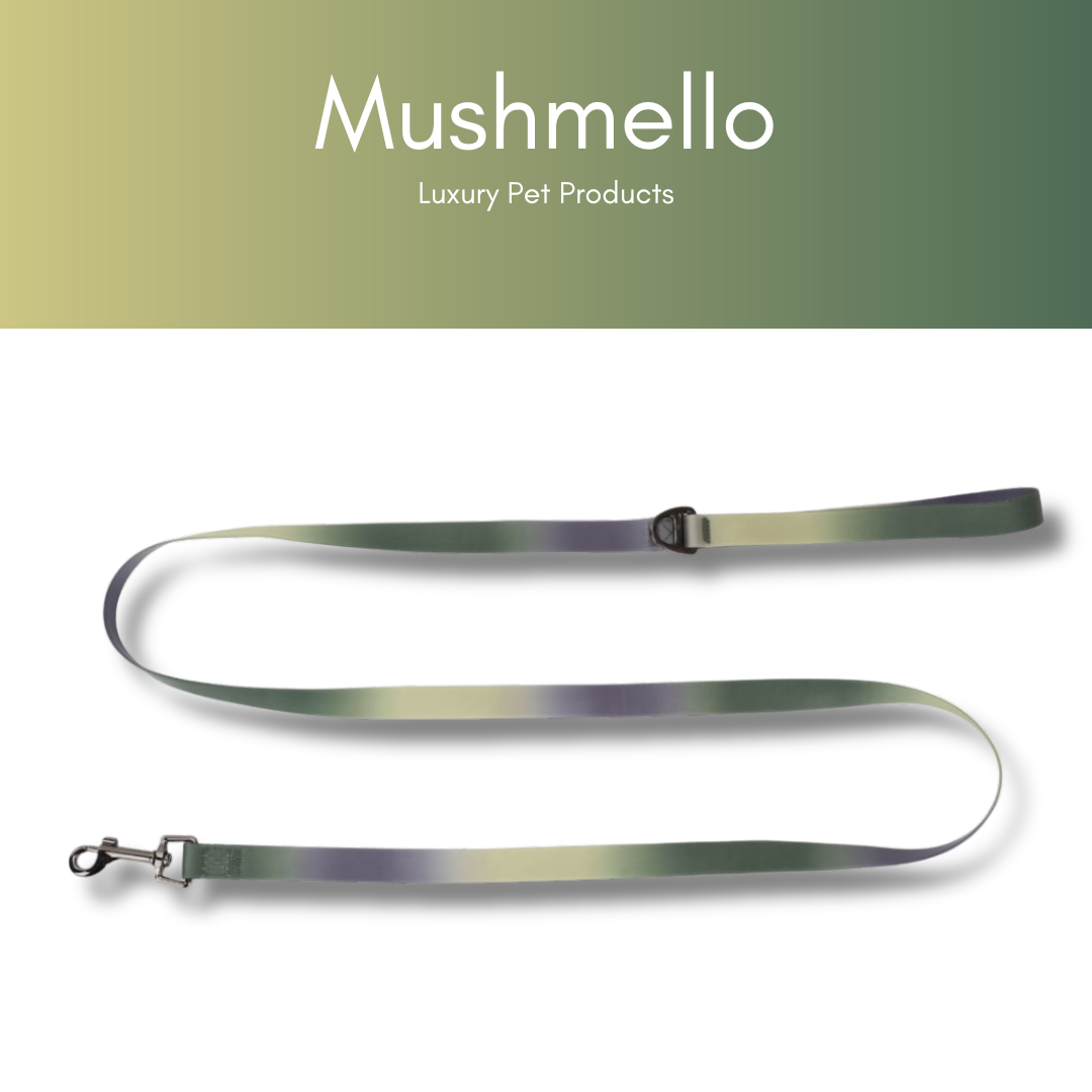 Gradient Waterproof PVC-Coated Dog Collar & Leash Set - Green Gradient