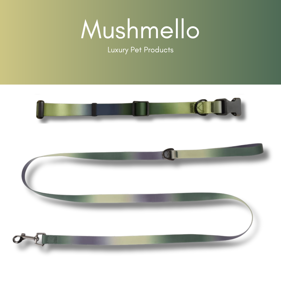 Gradient Waterproof PVC-Coated Dog Collar & Leash Set - Green Gradient