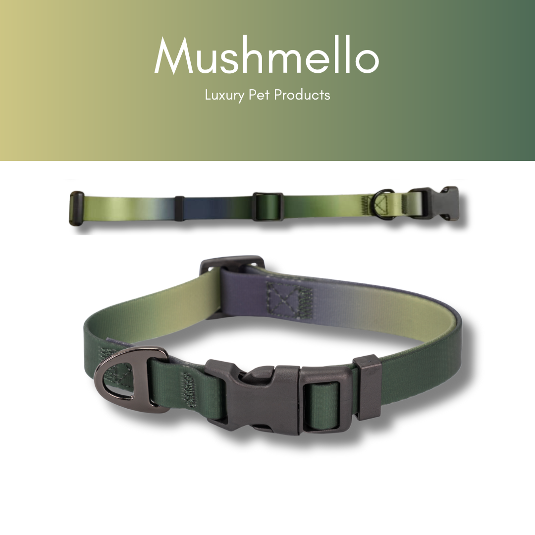 Gradient Waterproof PVC-Coated Dog Collar & Leash Set - Green Gradient