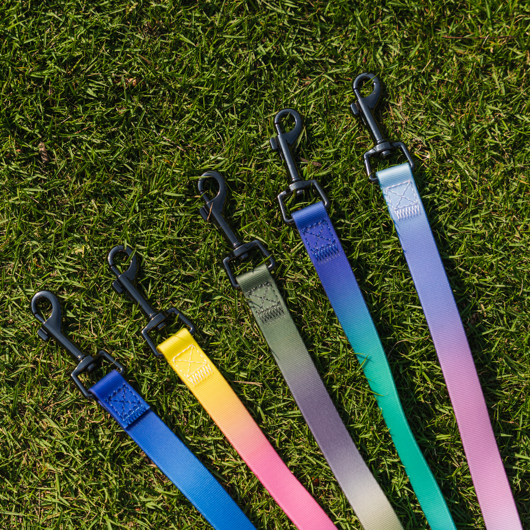 Gradient Waterproof PVC-Coated Dog Collar & Leash Set - Pink and Purple Gradient