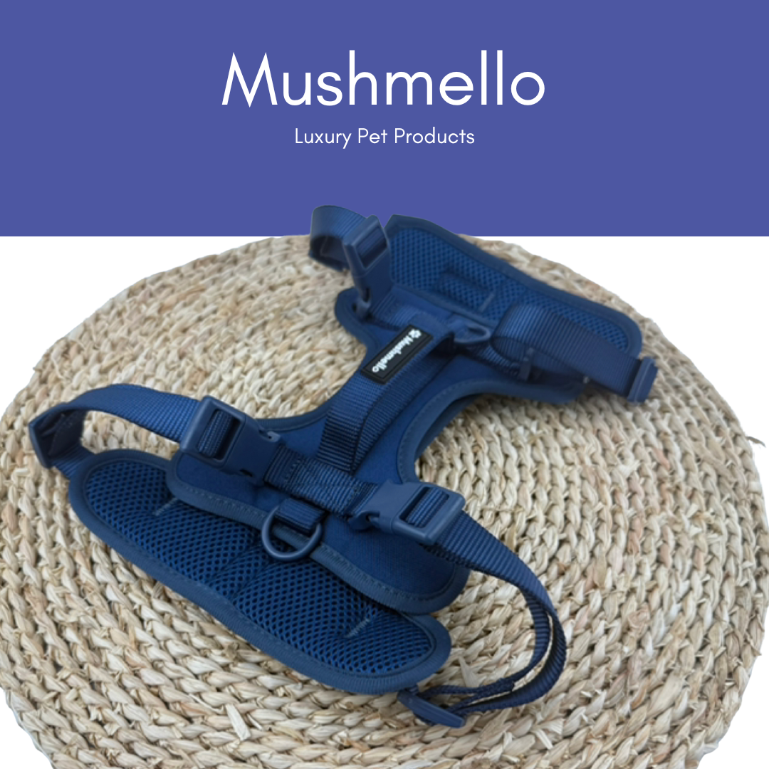 Mushmello Secure Waterproof Harness with Collar and Leash Set - Navy Blue