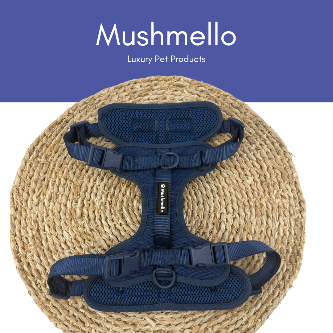 Mushmello Secure Waterproof Harness with Collar and Leash Set - Navy Blue
