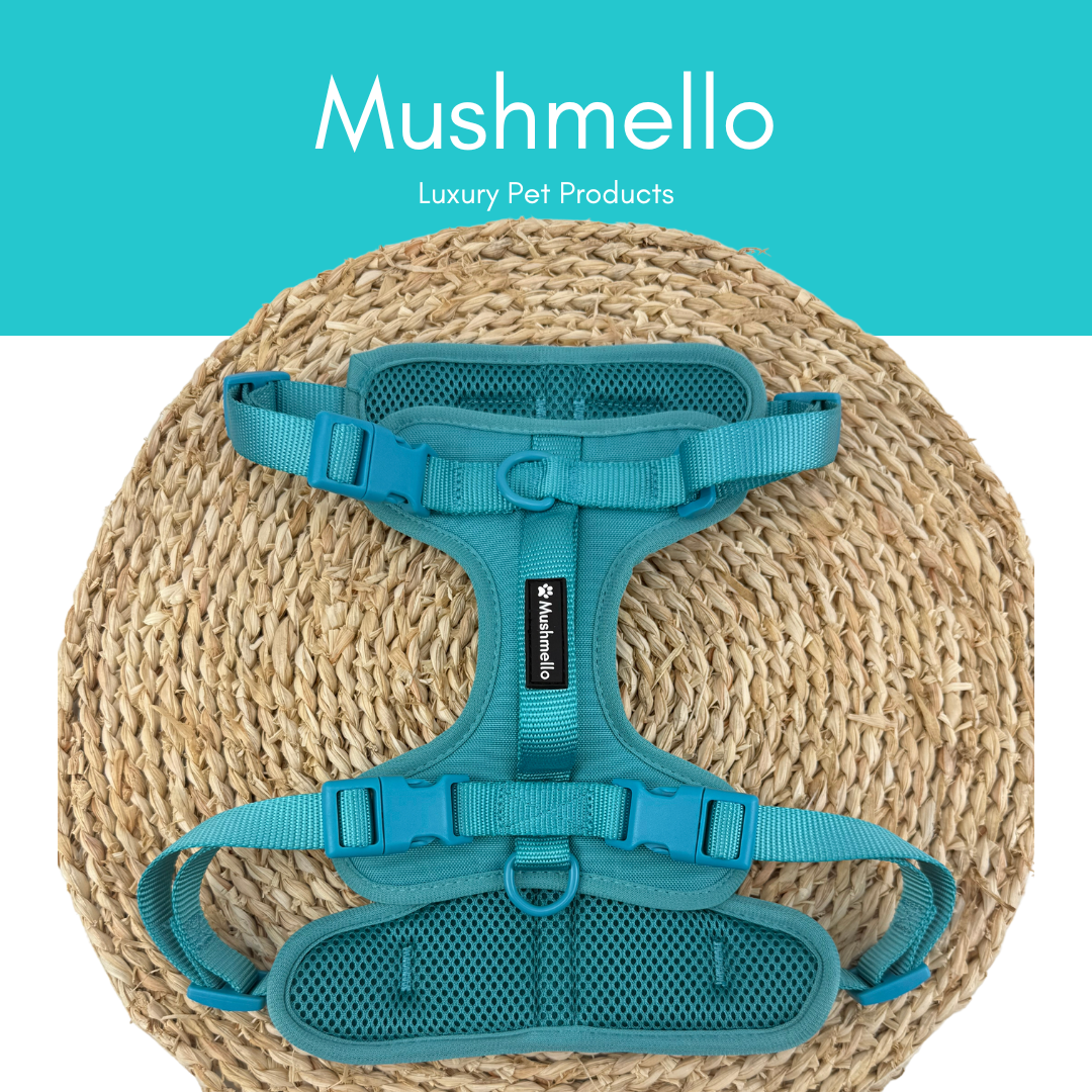 Mushmello Secure Waterproof Harness, Collar and Leash Set - Teal
