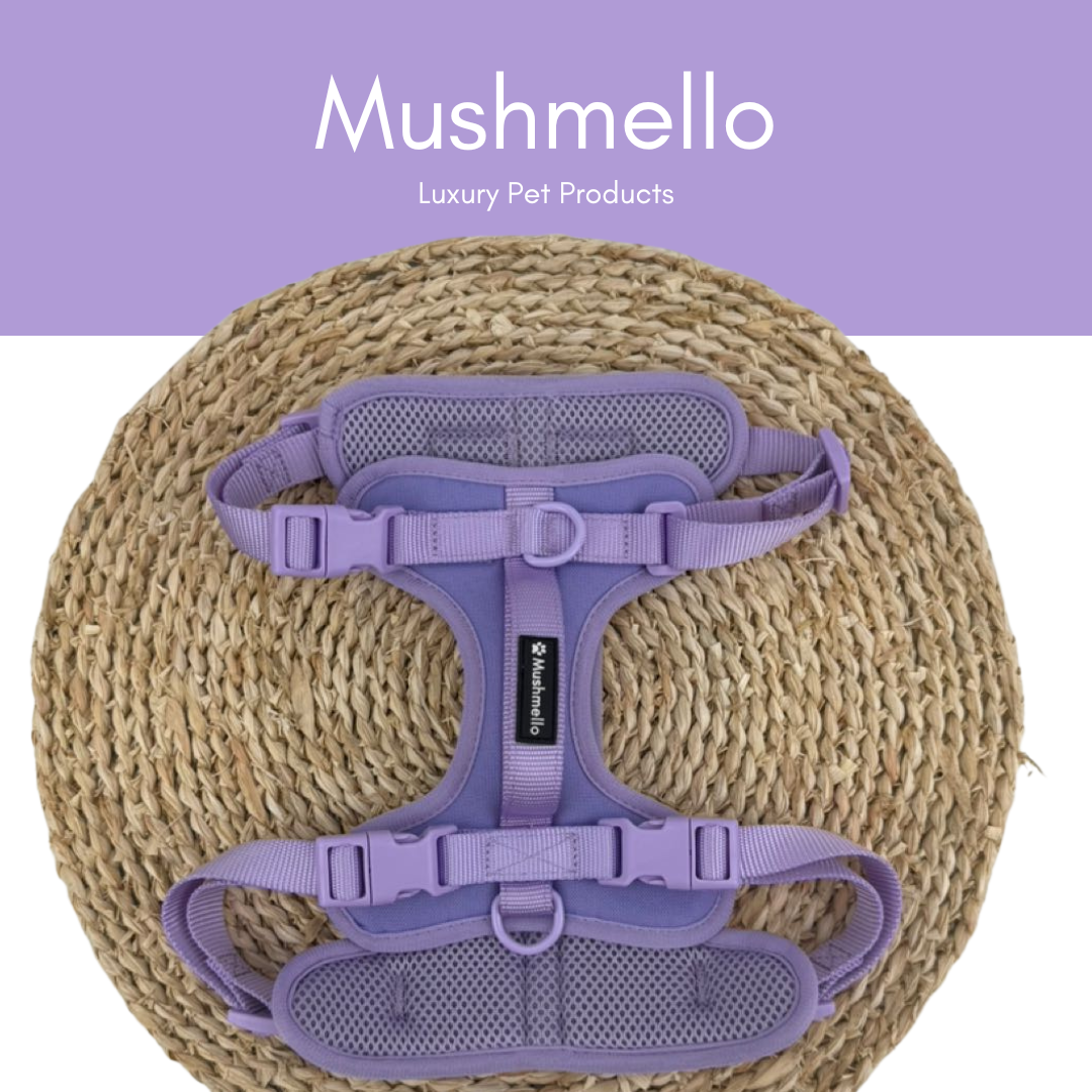 Mushmello Secure Waterproof Harness with Collar and Leash Set - Purple