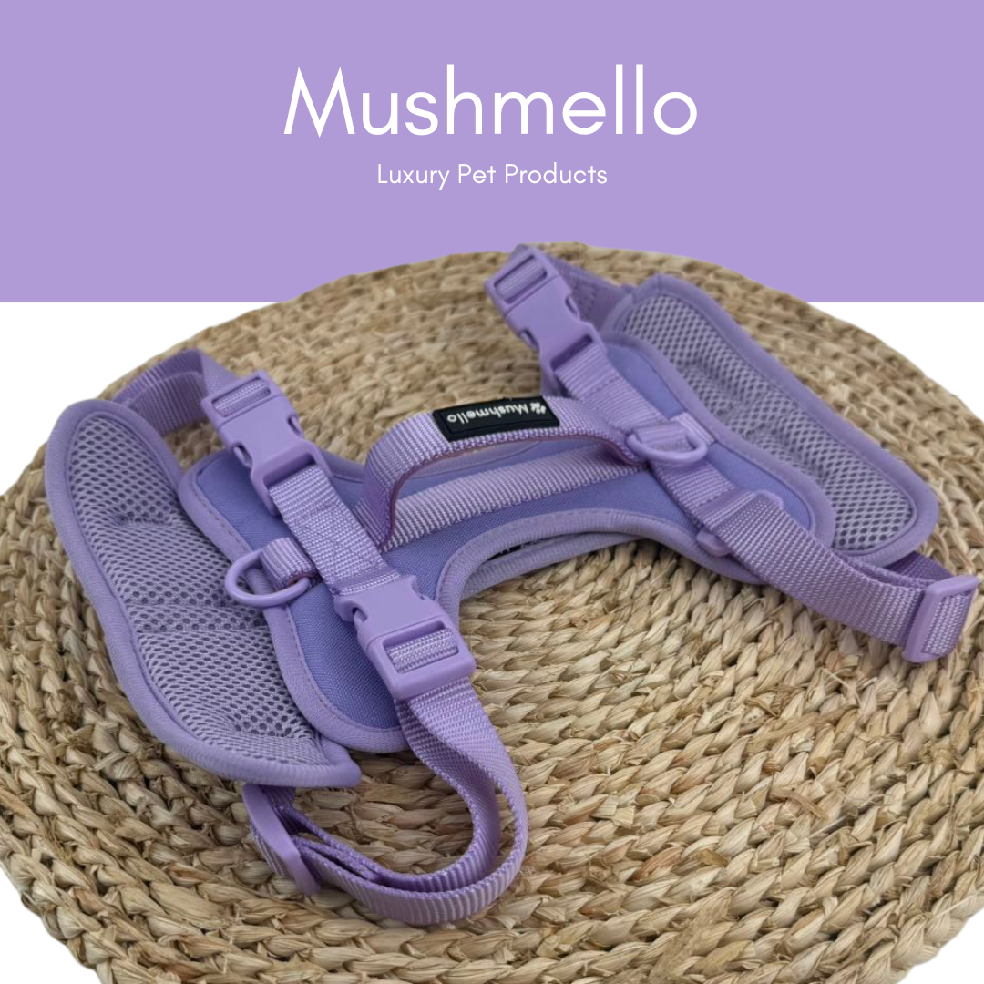 Mushmello Secure Waterproof Harness with Collar and Leash Set - Purple