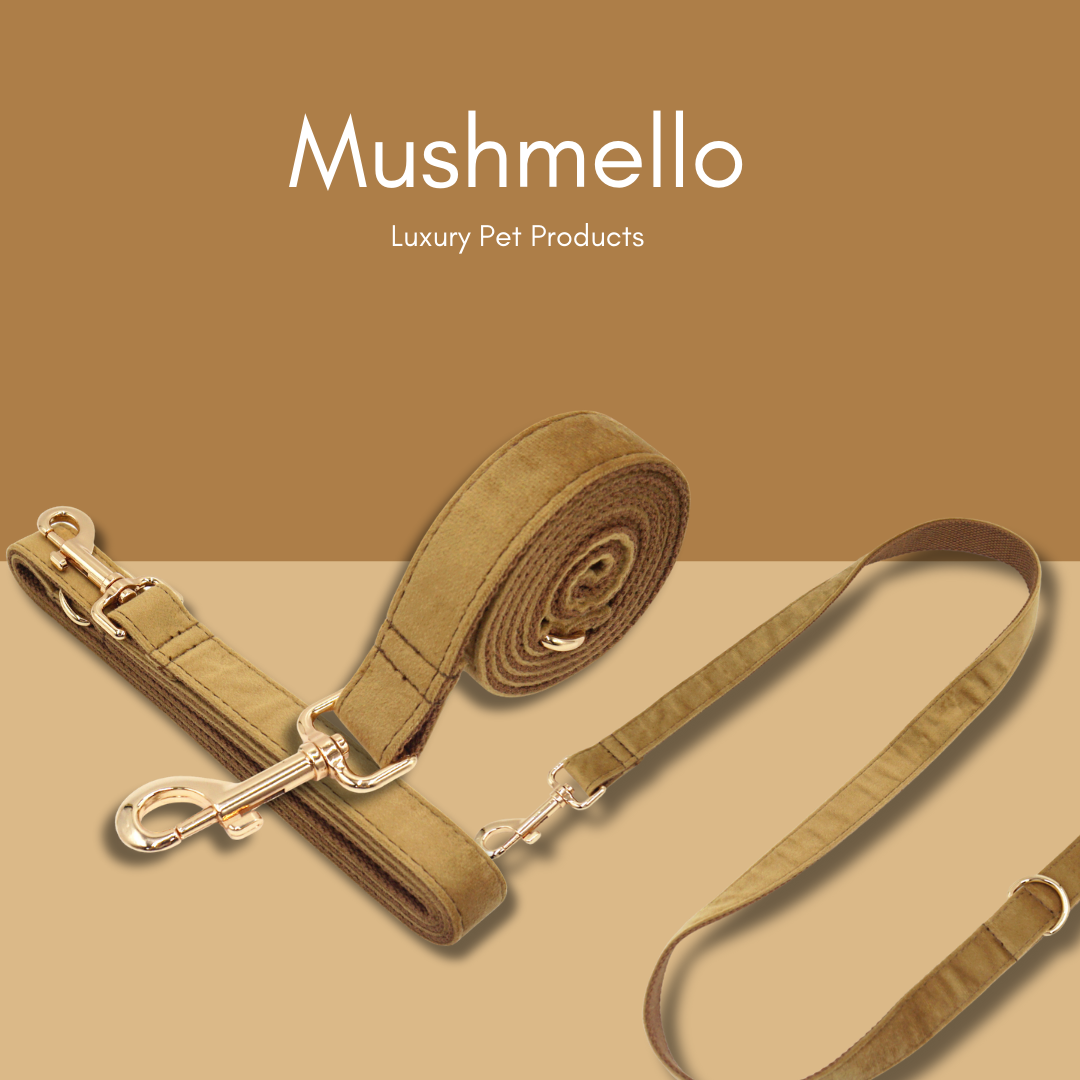 Soft Luxury Velvet Dog Collar and Leash set - Coffee Brown