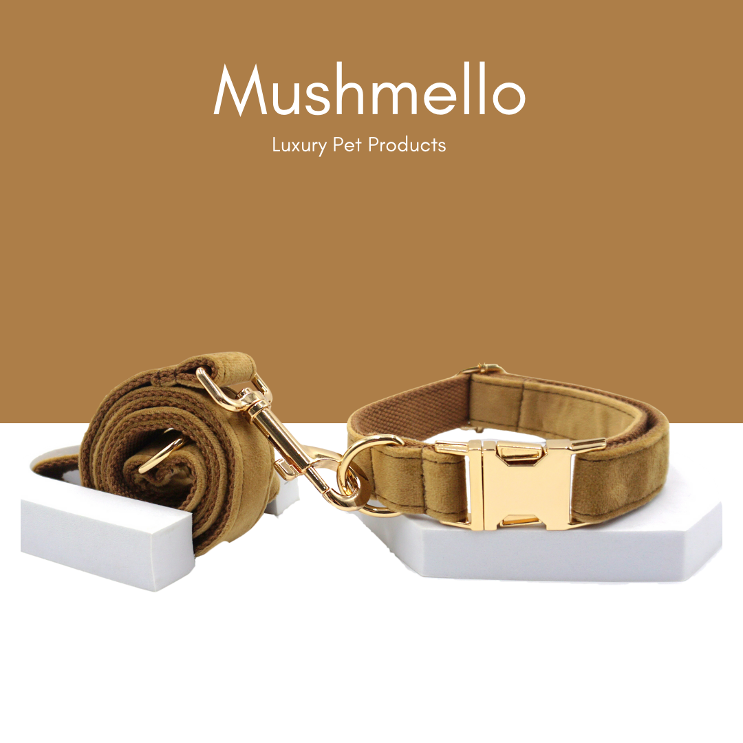 Soft Luxury Velvet Dog Collar and Leash set - Coffee Brown