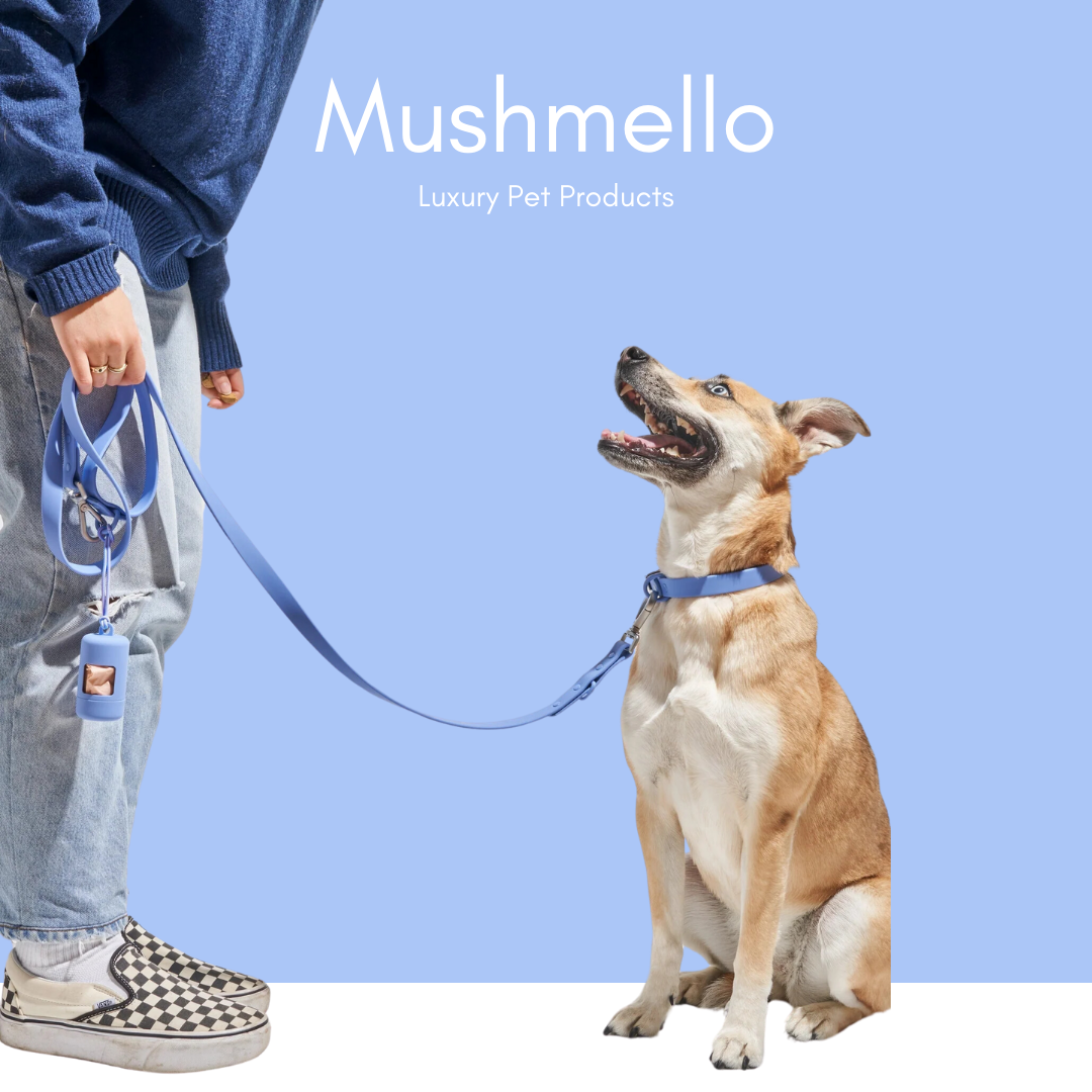 PVC coated waterproof easy-clean stylish dog collar - Blue