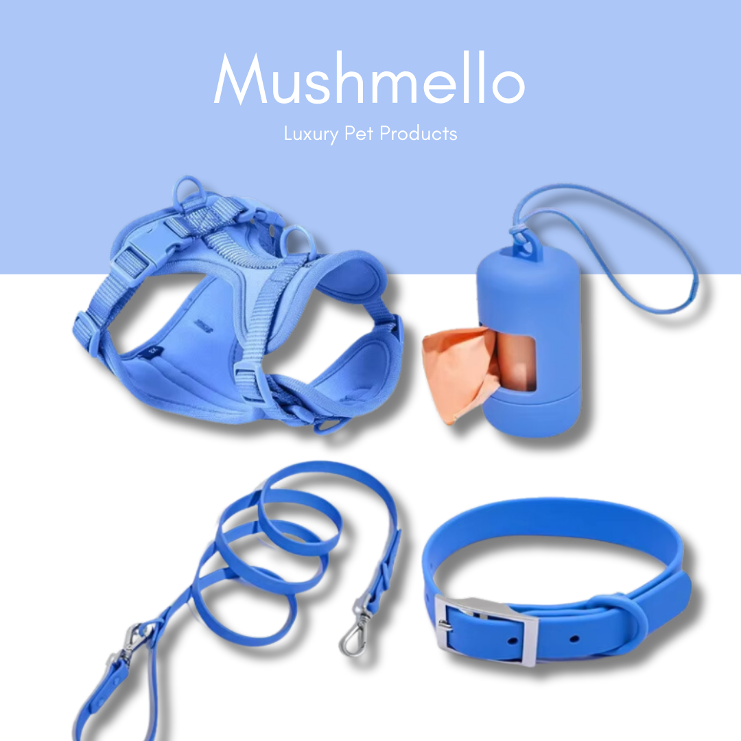 Blue Luxury Waterproof PVC-Coated Harness, Leash, Collar Set – Stylish, Durable, and Easy to Clean