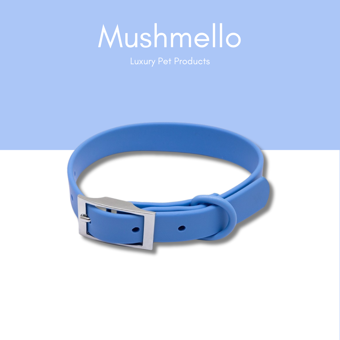 PVC coated waterproof easy-clean stylish dog collar - Blue