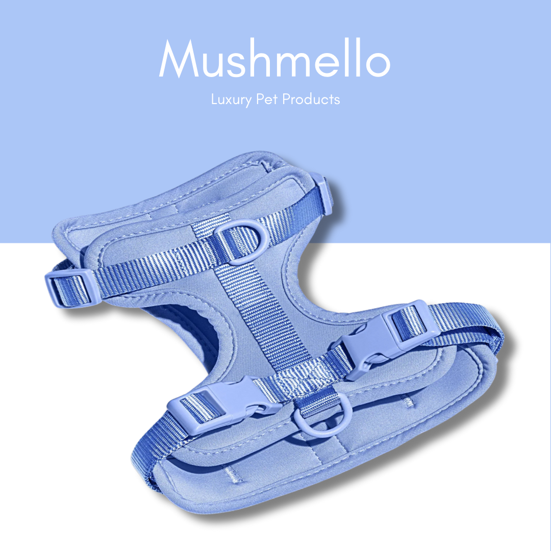 Blue Luxury Waterproof PVC-Coated Harness, Leash, Collar Set – Stylish, Durable, and Easy to Clean